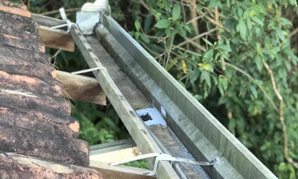 356626804_1036061107778165_6732965209992286783_n